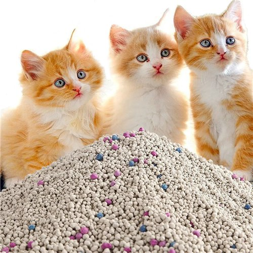 OEM Factory 1-3mm Strong Clumping Litter Low Dust Colorful Premium Bentonite Cat Litter Sand