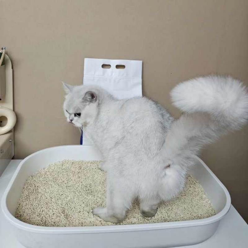 Dust-Free Natural Fragrance Pet Products Sustainable Flushable Odor Control Tofu Cat Litter