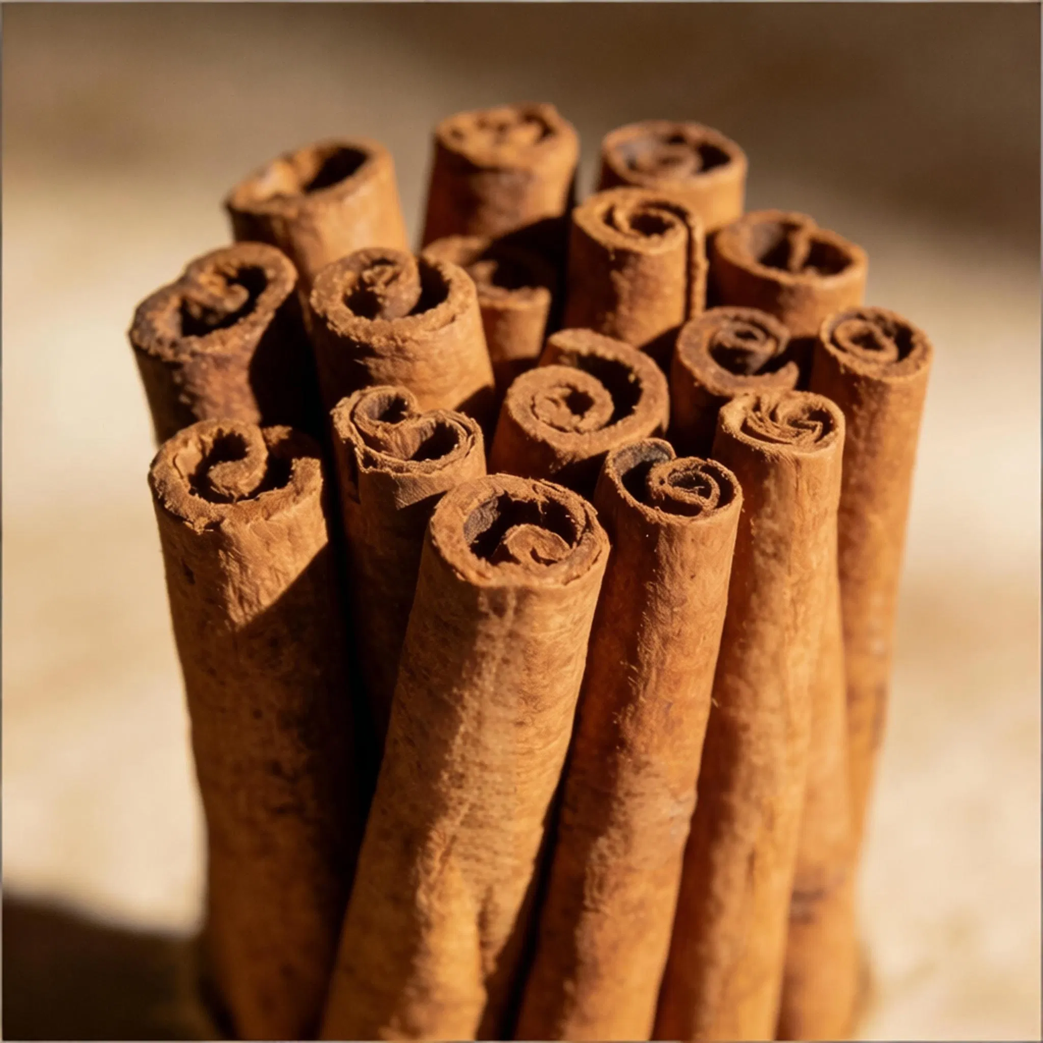 Natural Dried Cassia Guill Cinnamon Stick for Flavorful Meals
