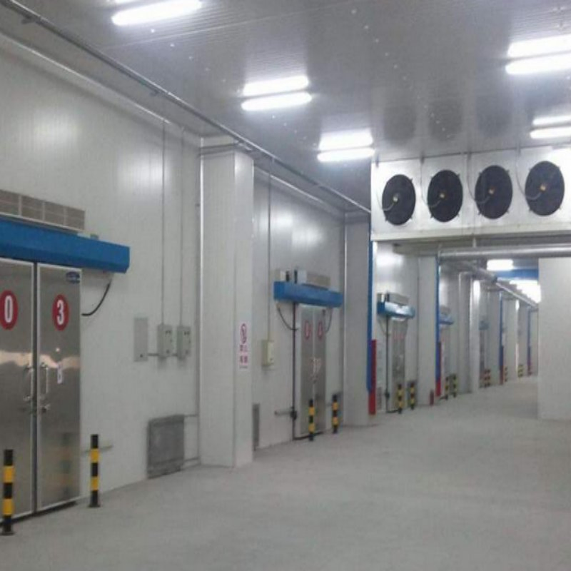 Best 20% Power Saving Chicken Cold Storage Manufacturers