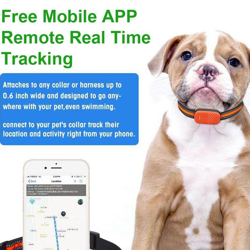 Smart Pet Tracker Pet Product Keep Your Furry Friends Safe Sound Always