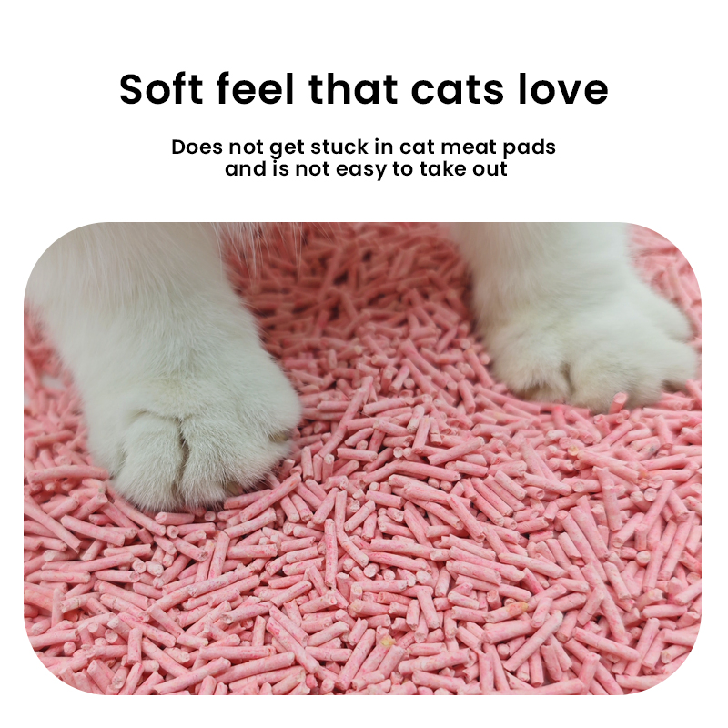 OEM/ODM Tofu Cat Litter Sand Eco-Friendly Dust-Free Clumping Odor Control Natural Premium Low Tracking Cat Litter