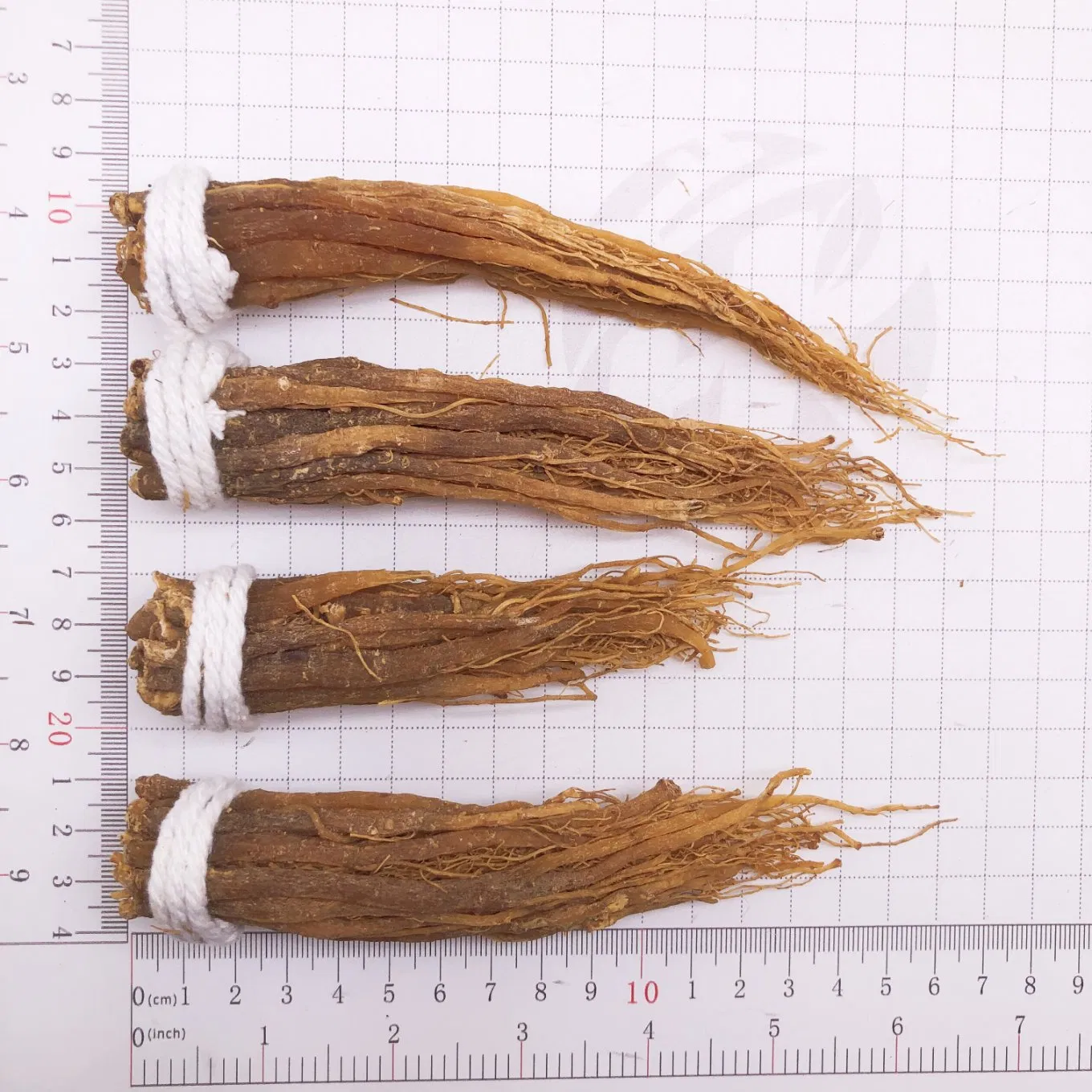 High Quality Red Wild Ginseng Price Whiskers Red Ginseng Tails with Sugar