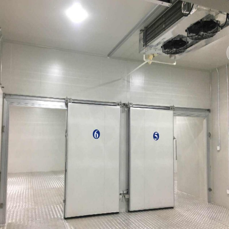 Customized Fish Cold Storage