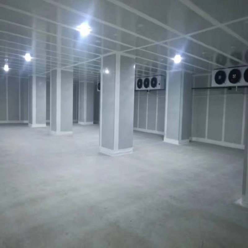 100 Ton Cold Storage for Potato Business