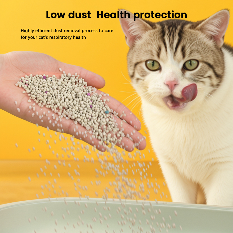 Eco-Conscious Bentonite Cat Litter Offering Sustainable Green Pet Living Solutions Always