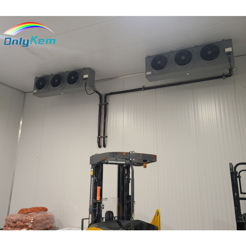 Frozen Fish Seafood Fruits Chiller Room Cold Storage Freezer in Honduras