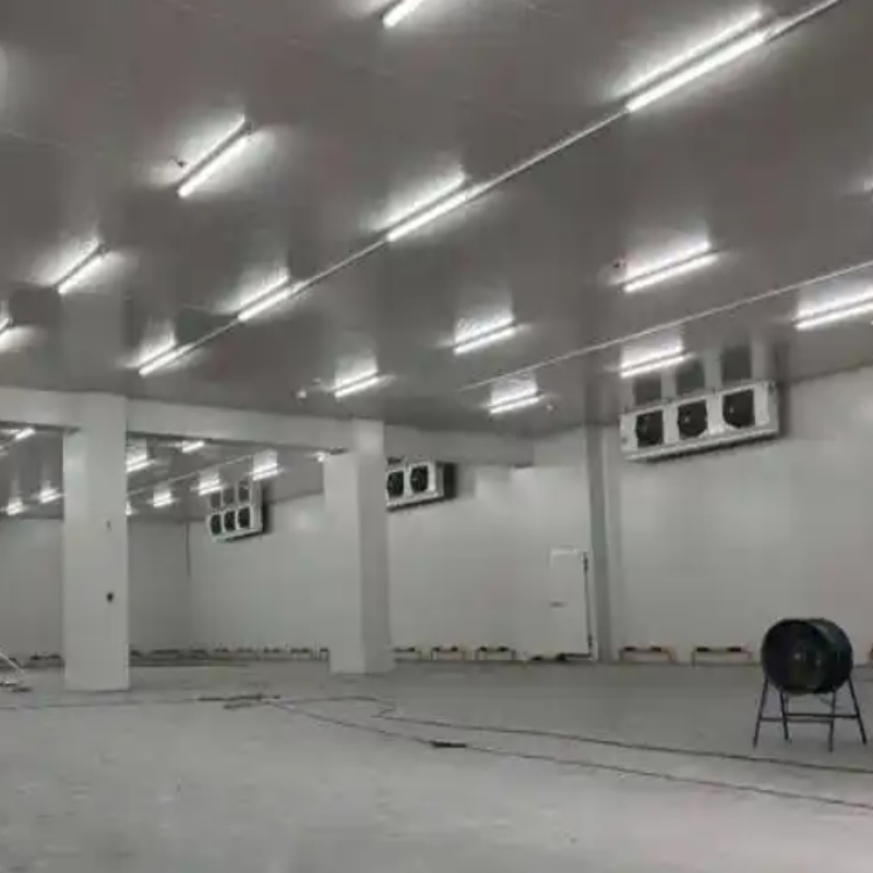 Best High Quality Seafood Cold Chain Storage