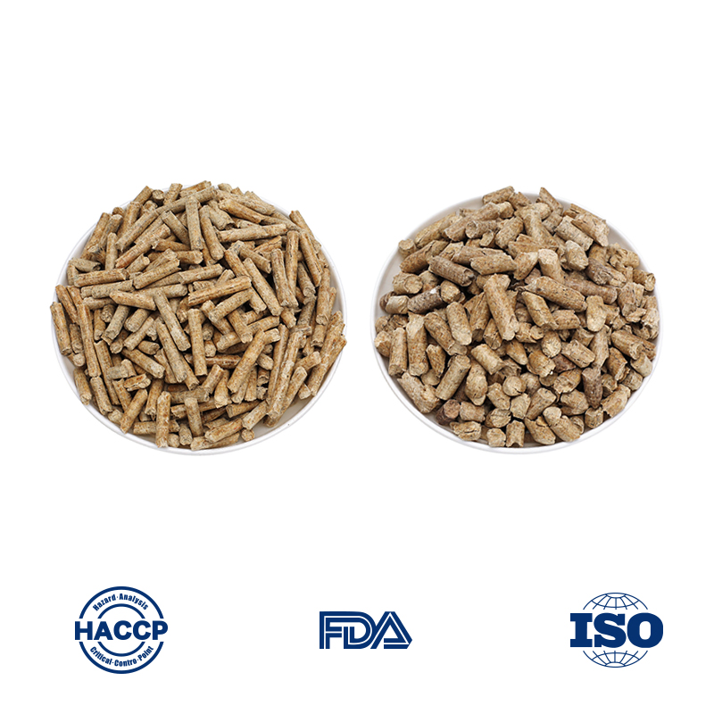 Eco-Friendly Lightweight Cat Litter for Sustainable Pet Care