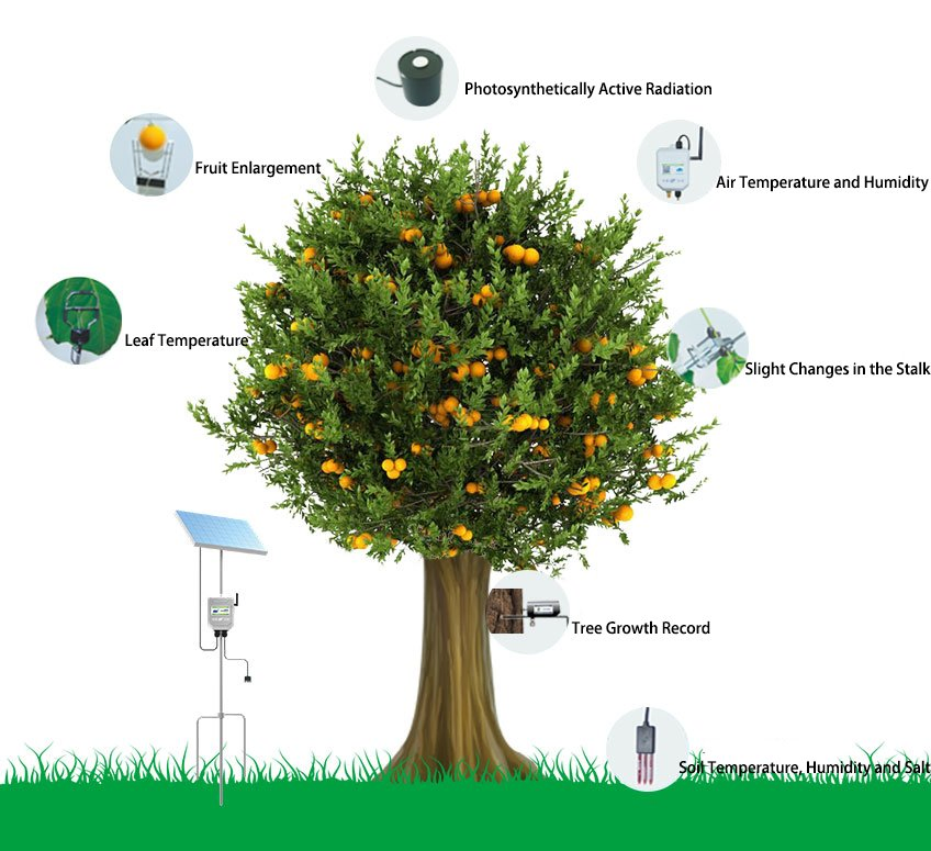 Plant Physiology and Ecology Monitoring System