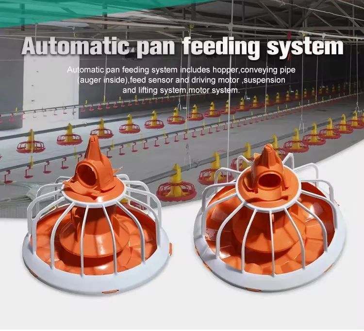Pan Feeding System