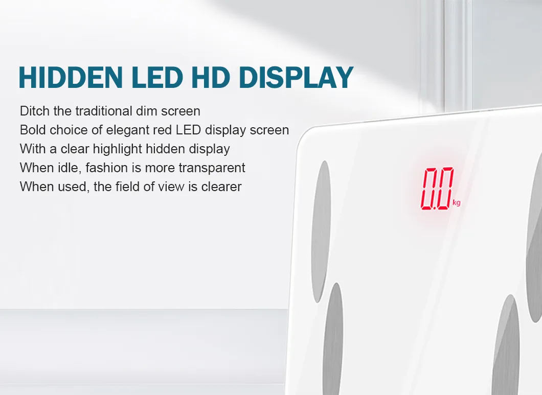 Body Fat Scale Display