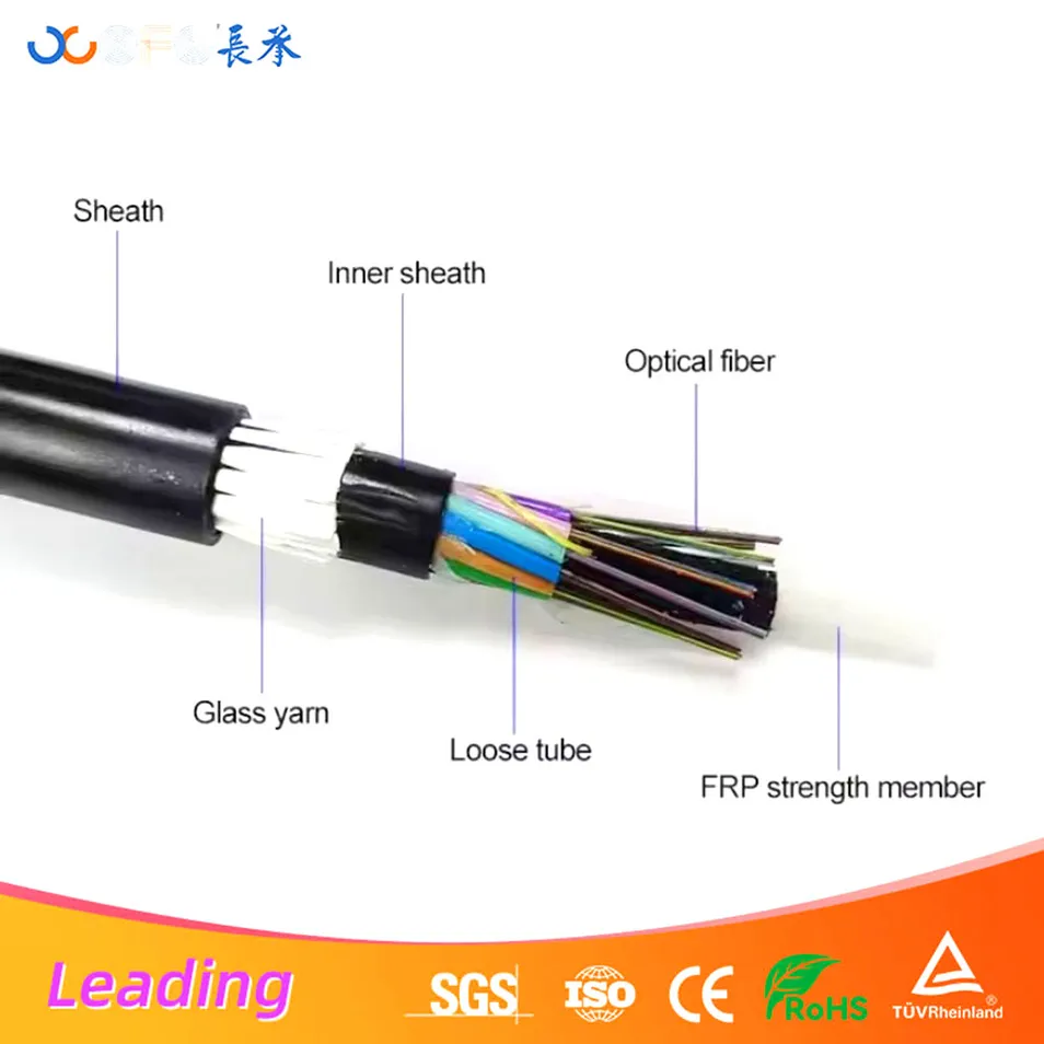 Lightning Protection Feature