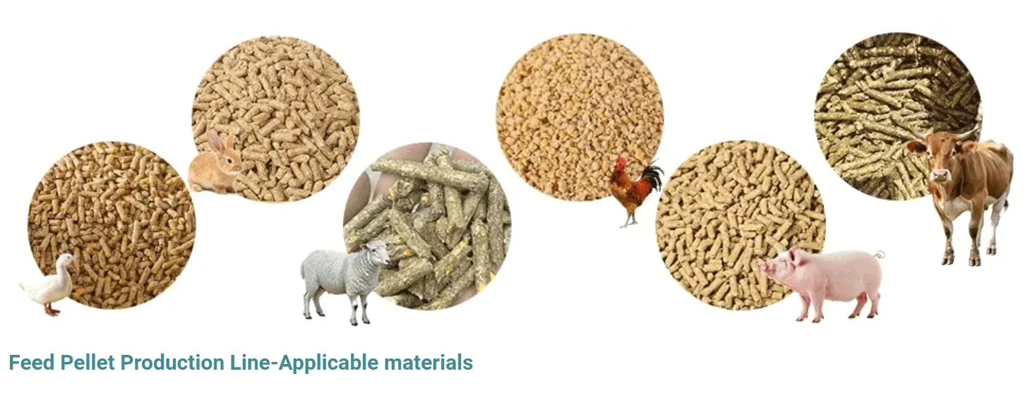 Industrial Feed Mill