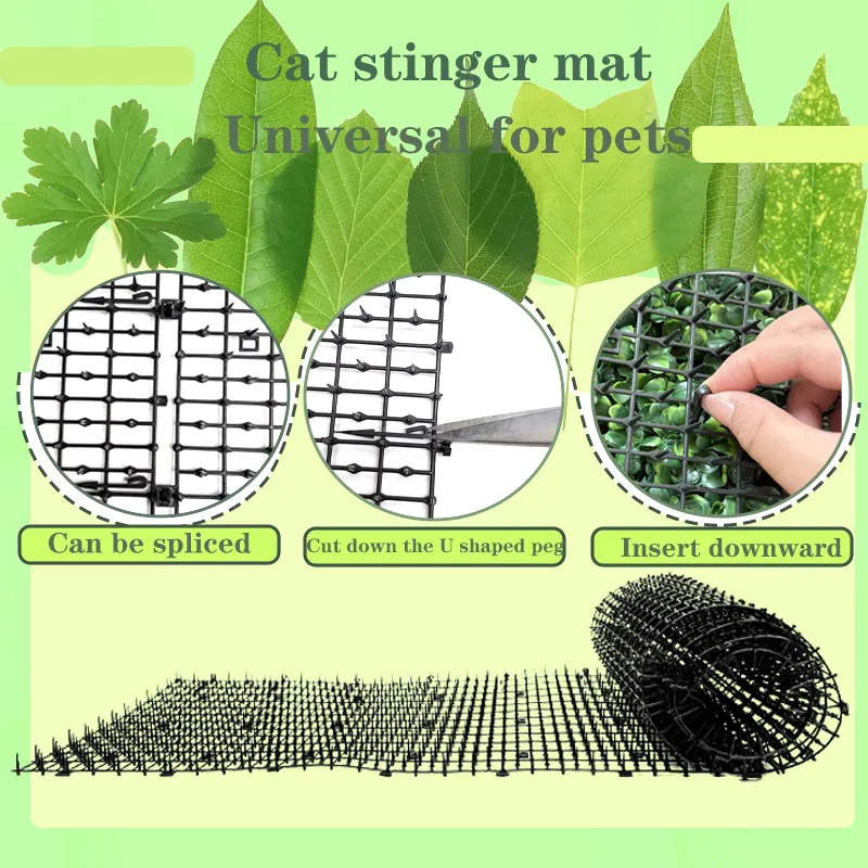 Smart Cat Mat 5