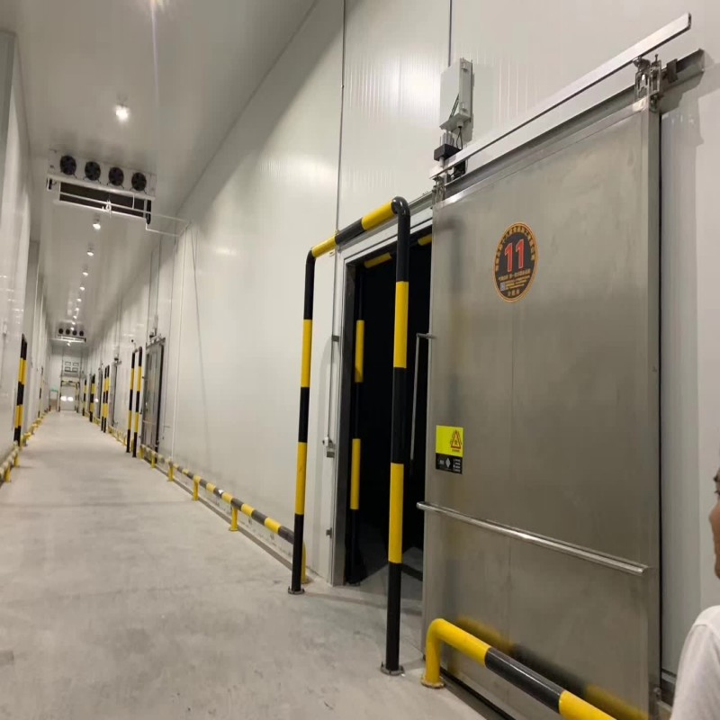 100 Ton Cold Storage for Potato Business