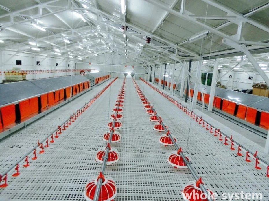 Intelligent Poultry Feeding System for Enhanced Chicken Health