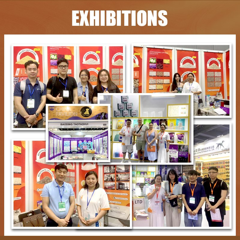 Competitor Price Monitoring &amp; Dynamic Adjustment Shield Crystal Cat Litter Market Intel