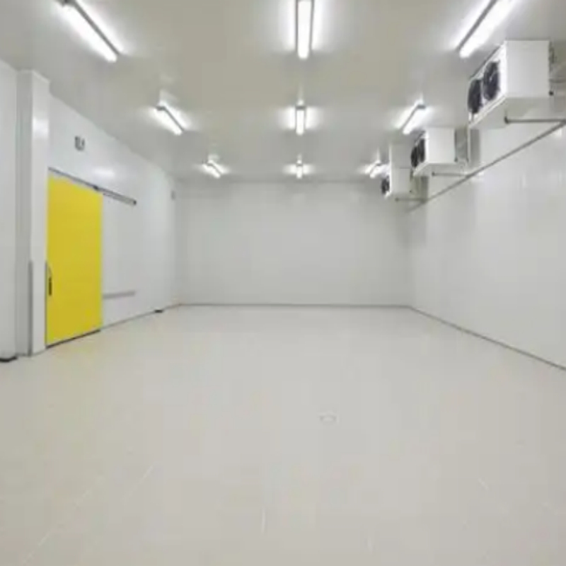 Hot Selling Products China Supplier Cam-Lock Design Freeze Meat Cold Storage