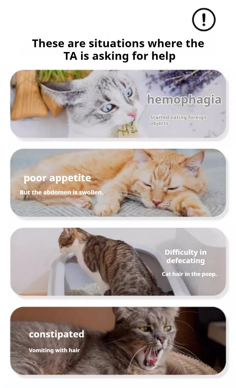 Digestive Support Gel 3