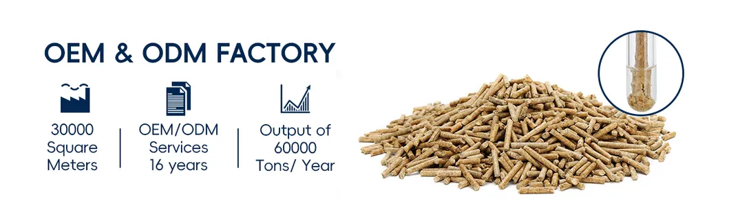 Water Absorption Test