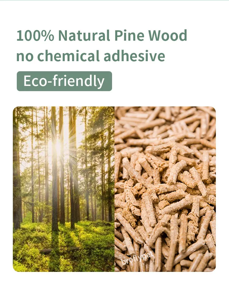Eco-friendly choice