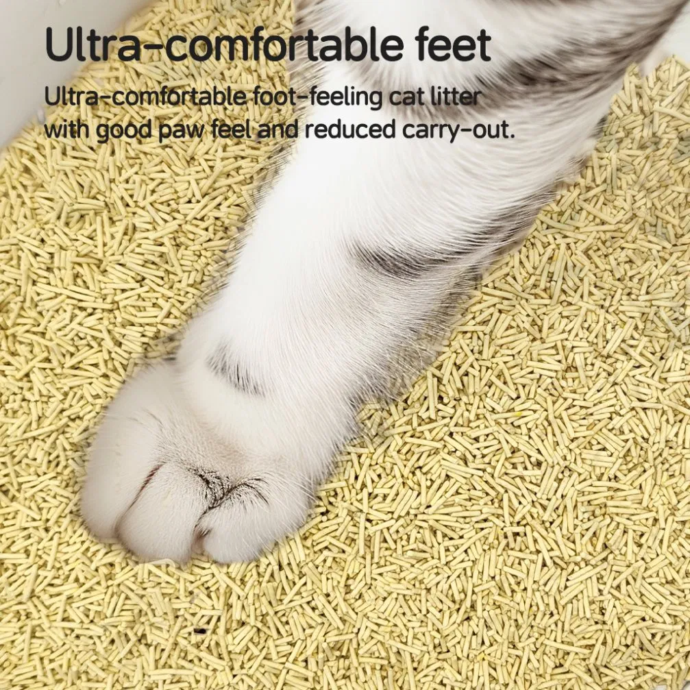 Natural Plant-Based Tofu Cat Litter 6L Pet Cat Clean Products OEM Factory