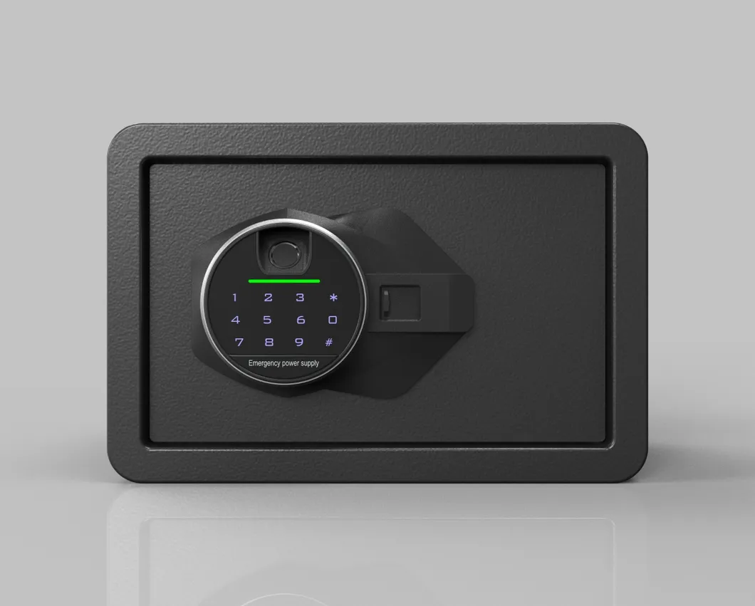 Biometric Fingerprint Lock