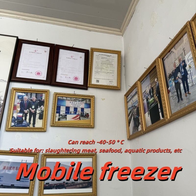 Mobile Fresh Sea Fish and Shrimp Quick Freezing Storage