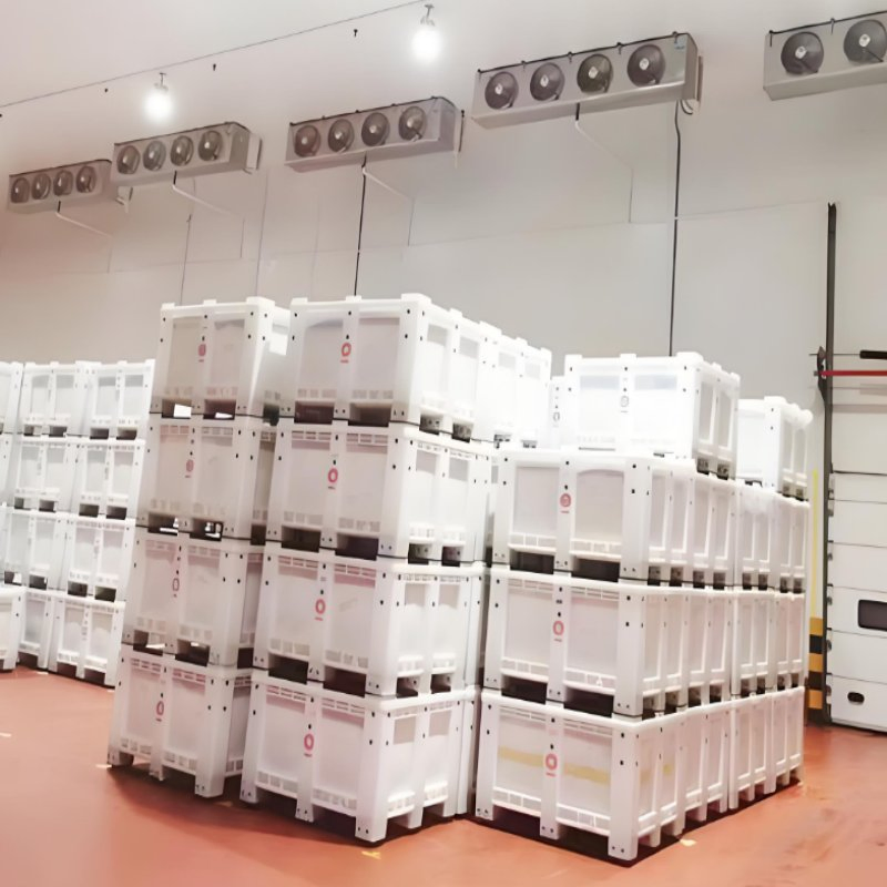 Best Cold Storage for Refrigeration Unit Carrier Compressor