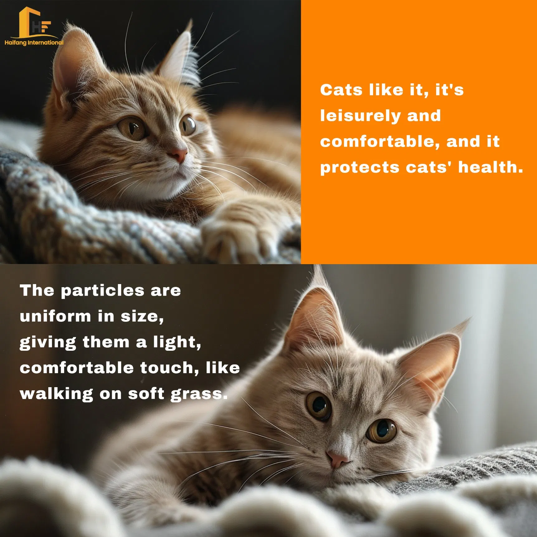 Wholesale Cat Litter Is Biodegradable, Low-Dust, Pleasant-Smelling, and a Sustainable Pet Care Solution Tofu Cat Litter