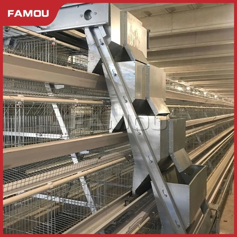 Advanced Automatic Feeding System for Poultry Farm Monitoring