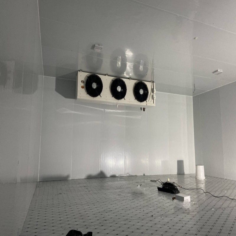 Commercial Refrigeration Cold Storage for Fish