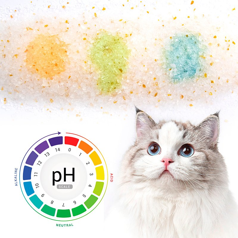 Ai-Powered Hydration Tracking for Diabetic Cats Management Crystal Cat Litter Smart Litter Box Integration