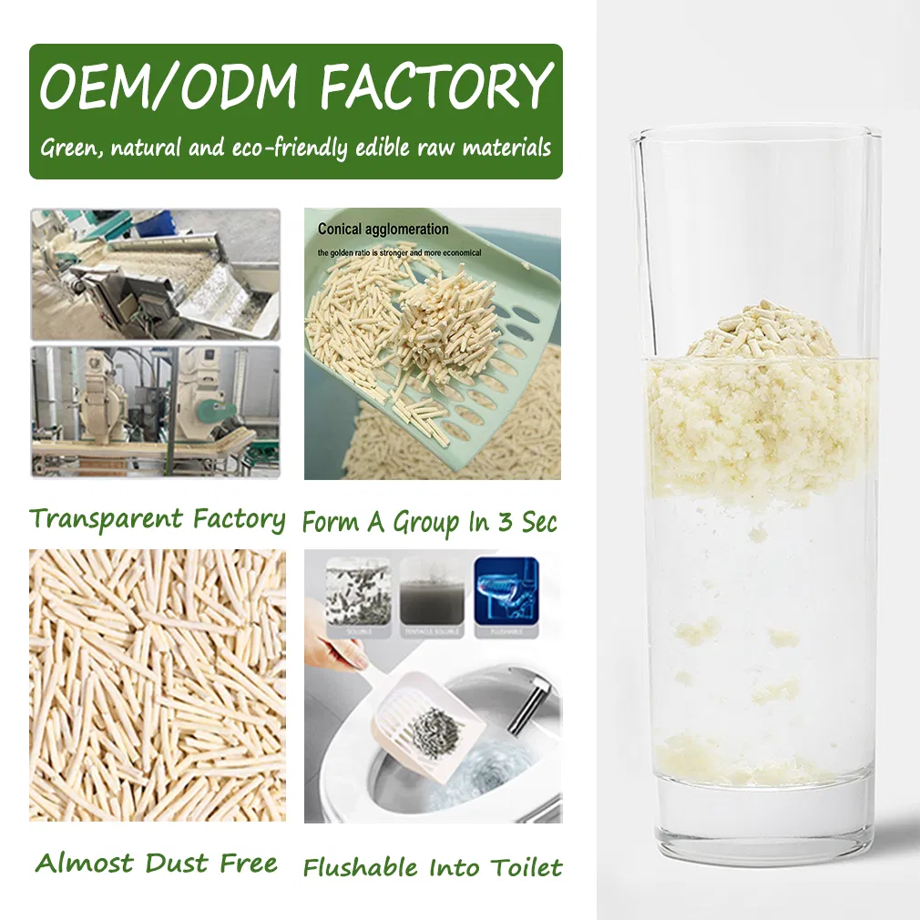 Environmental Protection