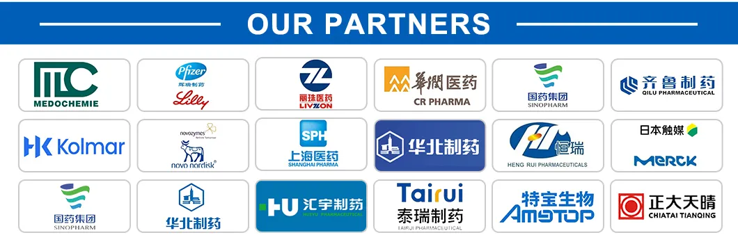 Global Partners 2