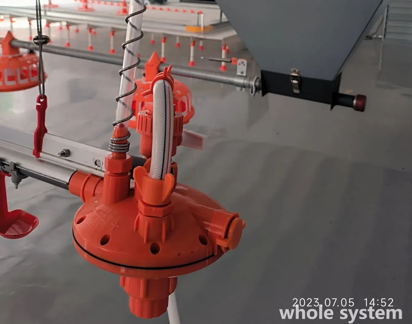 Intelligent Poultry Feeding System for Enhanced Chicken Health