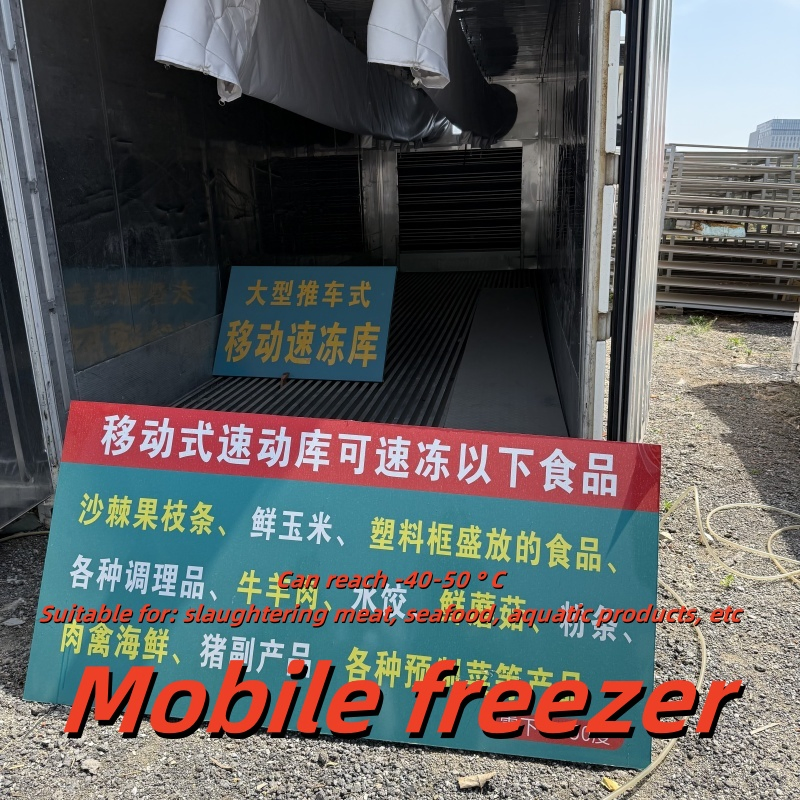 Walk-in Blast Cold Storage: Lock Freshness for Meat &amp; Seafood