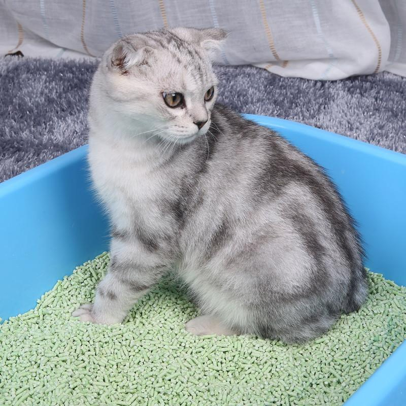 Pet Supplies Biodegradable Tofu Cat Litter Quick Agglomeration Highly Absorbent Tofu Cat Litter Bulk