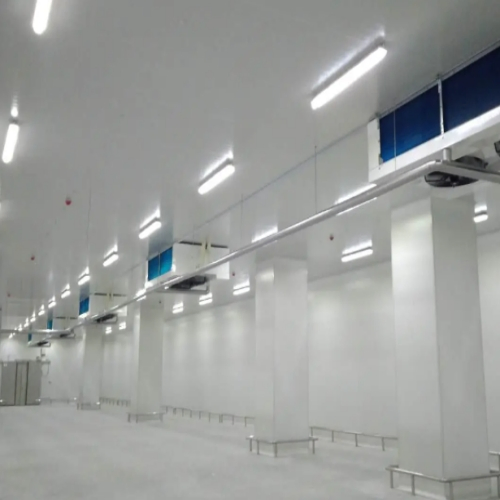 Best High Quality Seafood Cold Chain Storage