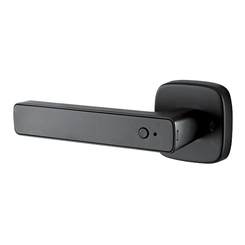 Advanced Biometric Enhanced Security Long-Lasting Fingerprint Smart Lock