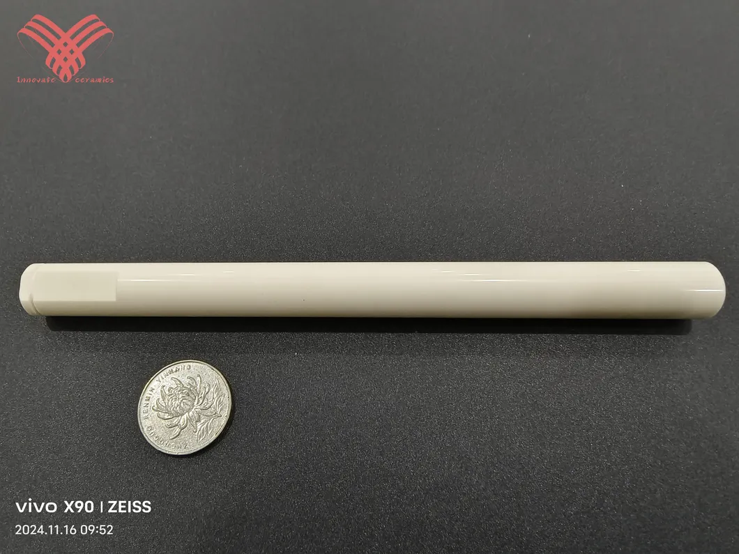 Ceramic Plunger Detail 6