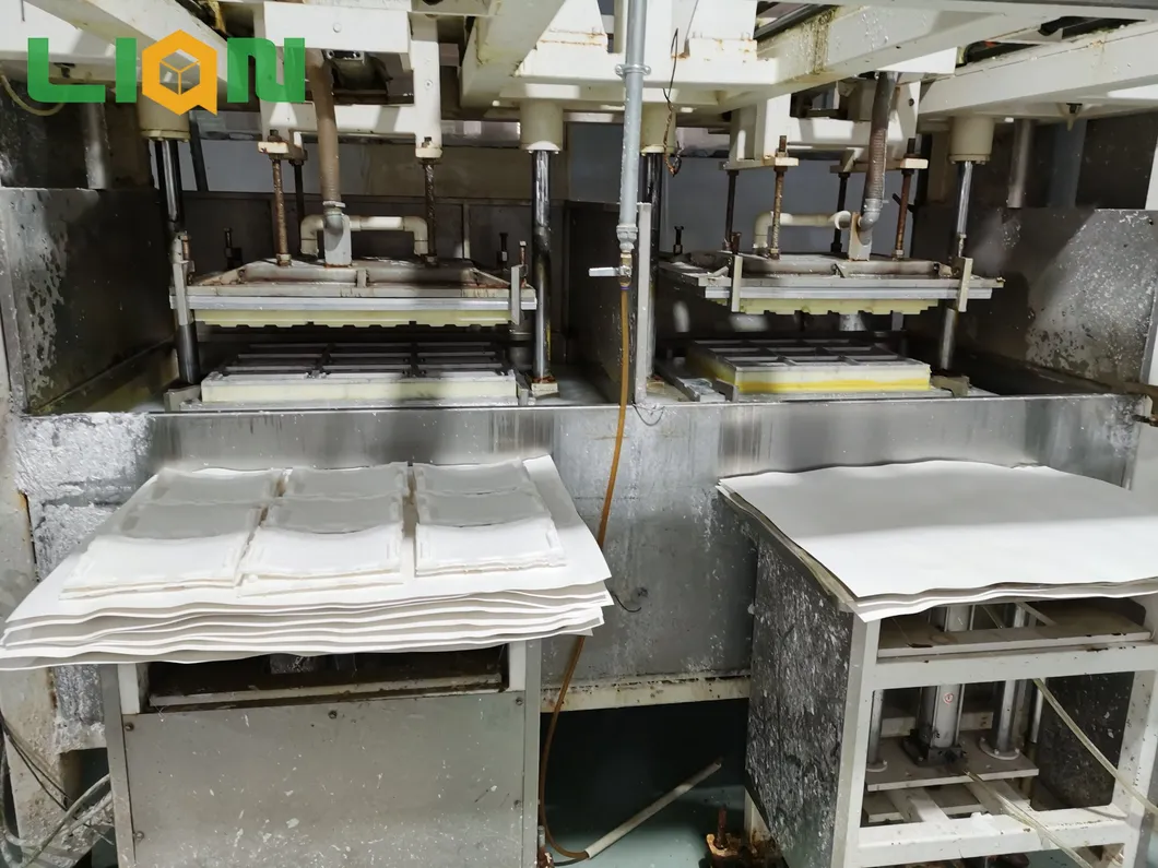 Sustainable Molded Pulp Packaging Solutions for Pet Litter Boxes