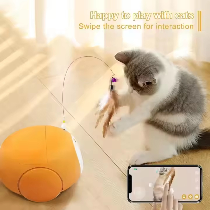Factory Direct Sale Pet Camera Robot for Cat Interactive Automatic Teasing Toy