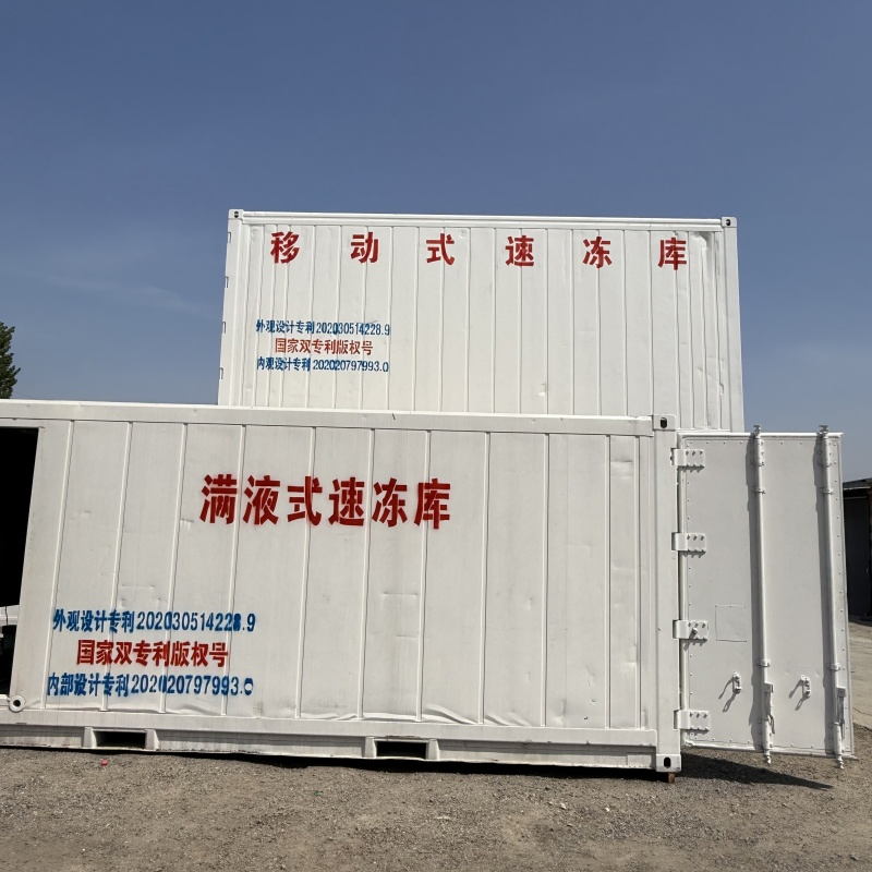 Mobile Fresh Sea Fish and Shrimp Quick Freezing Storage