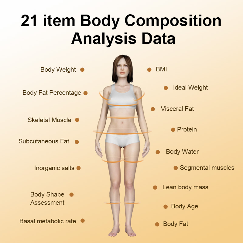Professional Body Composition Analyzer for Accurate Fitness Tracking