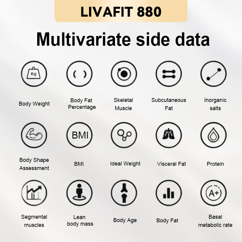 Gym Professional 8-Electrode Body Fat Analyzer, Body Tracking Bioimpedance Technology, Body Composition Analyzer