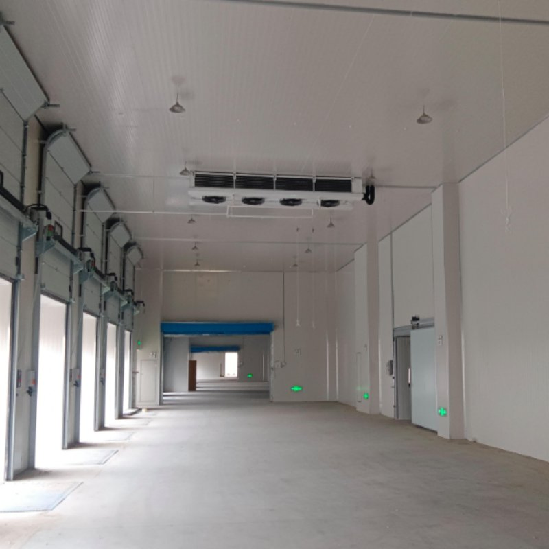 Best High Quality Seafood Cold Chain Storage