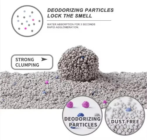 Cat Litter Solutions