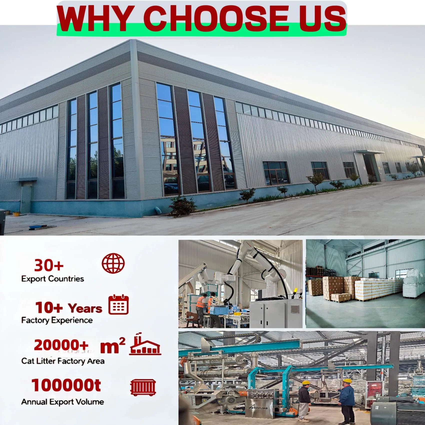 Cat Litter Professional Manufacturer